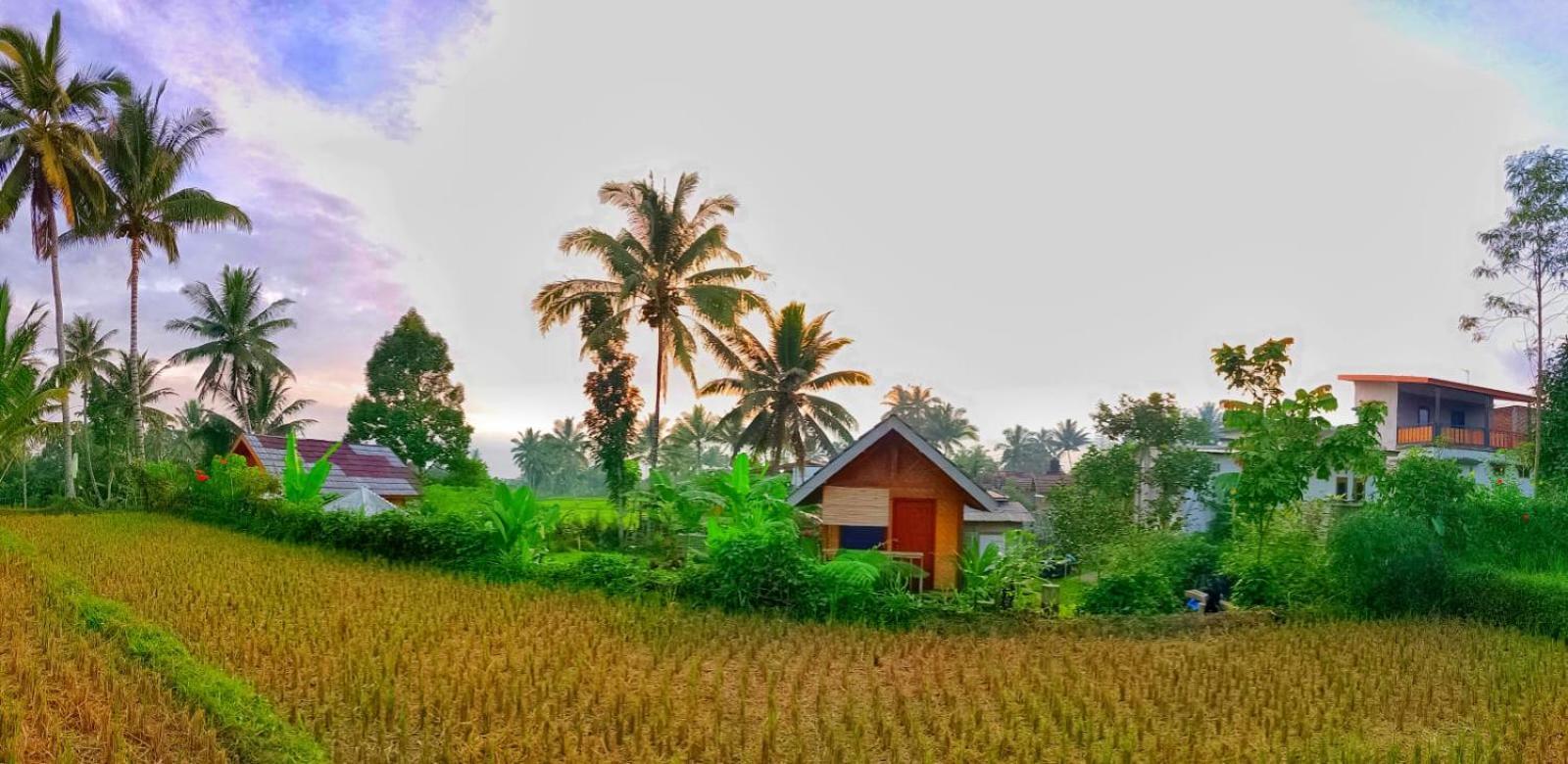 Citra Homestay Tetebatu Exterior foto