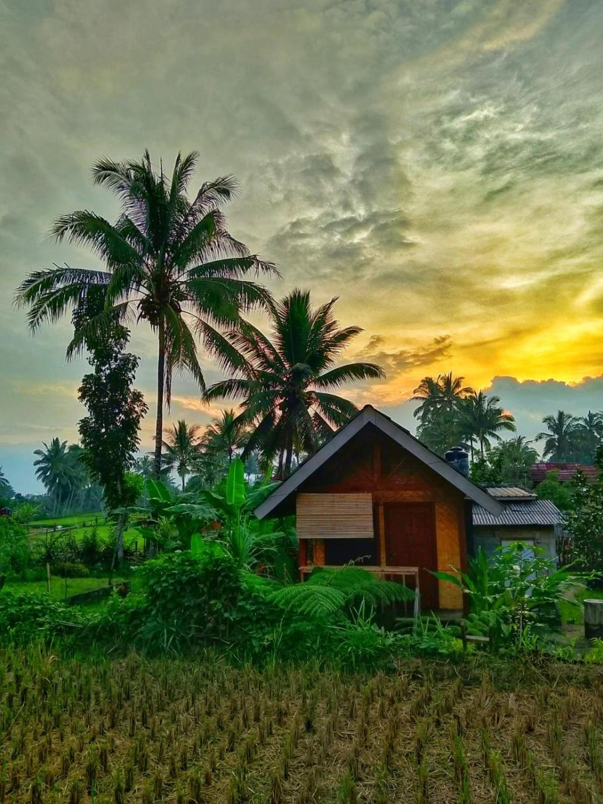 Citra Homestay Tetebatu Exterior foto