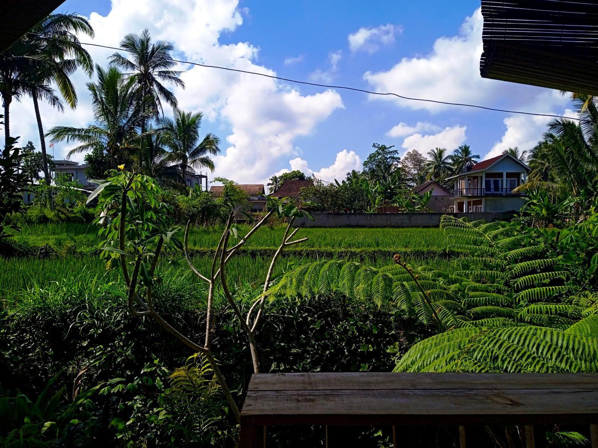 Citra Homestay Tetebatu Exterior foto