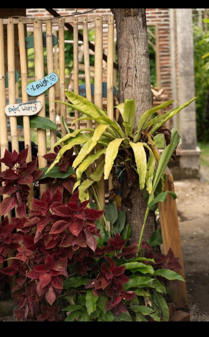 Citra Homestay Tetebatu Exterior foto
