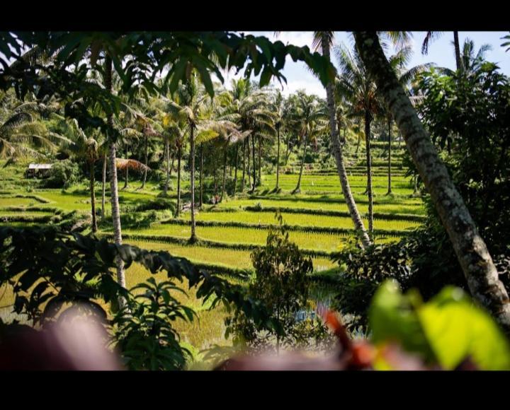 Citra Homestay Tetebatu Exterior foto